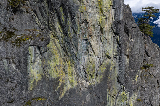 Sheer Rocky Cliff Face With Lichen, Moss and Pine Overlooking Mountains in British Columbia, Canada