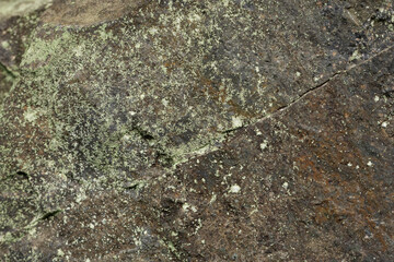 Close-up of a weathered rock surface covered with green lichen and featuring a prominent diagonal crack. © jianjian