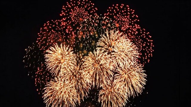 Bright and colorful fireworks display exploding in the night sky with varied patterns during a celebration event.