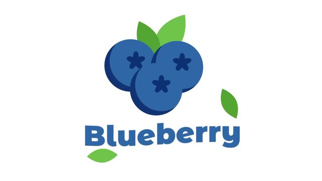 Three round blueberries with small green leaves are centered above the word Blueberry in a bold blue font on a simple white and dark gray background