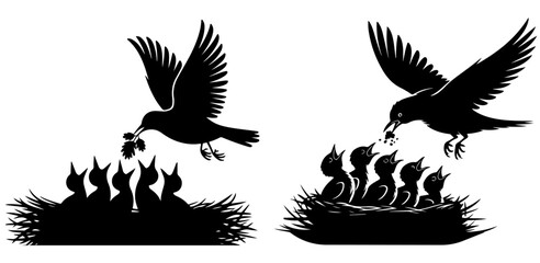 Nest silhouette vector, Silhouettes of mother bird feeding hungry chicks in a nest isolated on white background, © Uttham
