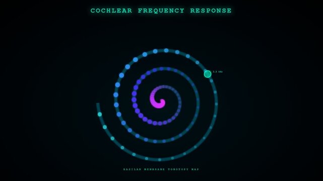 Exploring the intricate biometric data flow within the auditory system, this digital animation illustrates the cochlear frequency response mapping on the basilar membrane.
