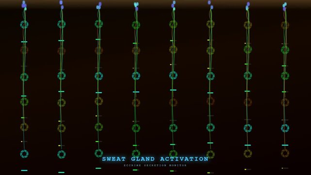 A sophisticated digital interface monitors the Biometric Data Flow, illustrating eccrine sweat gland activation for advanced physiological study.
