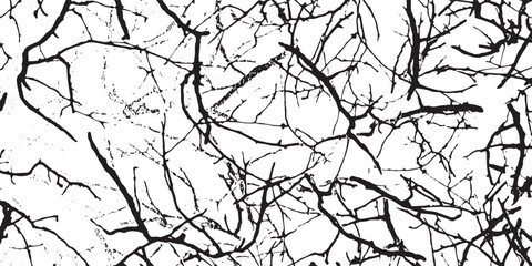 Obraz premium Intricate Network of Bare Tree Branches Against White Background.