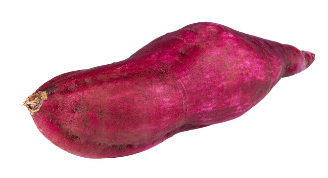 Sweet Potato close up isolated on transparent background.