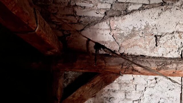 Aged wooden beams with cracked plaster wall, dim lighting highlighting rough textures and decay, capturing the worn atmosphere of an old rustic building corner
