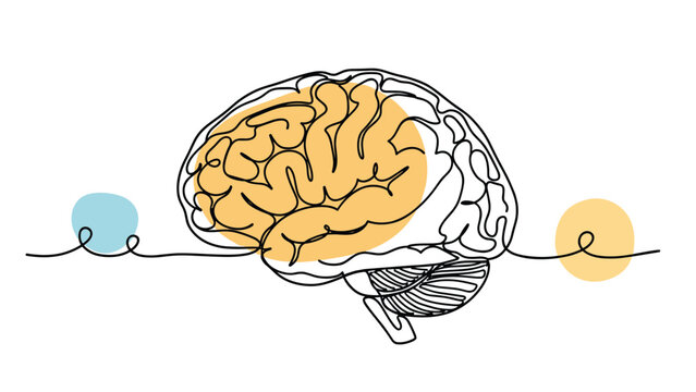 Abstract continuous one-line drawing of a human brain with highlighted areas and connected elements, symbolizing thoughts and connections.