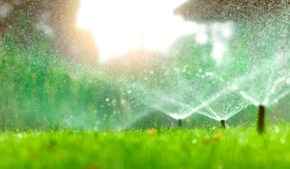 Automatic lawn sprinkler watering green grass. Sprinkler with automatic system. Garden irrigation system watering lawn. Water saving or water conservation from sprinkler system with adjustable head. © Fahroni