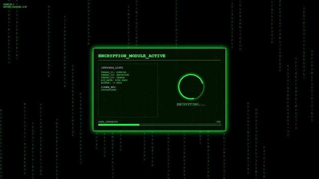 Abstract Digital Encryption Module Process Loop.