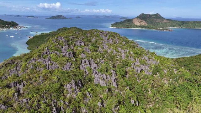 POI drone shot of limestone cliffs covered in lush vegetation at Ile Island in Linapacan, Palawan, Philippines