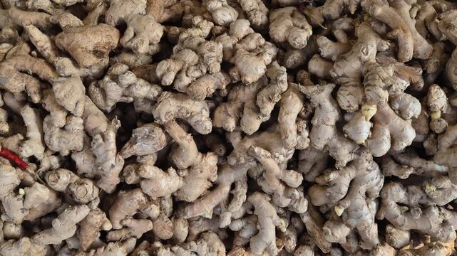 Fresh Raw Ginger Roots Stacked for Sale in a Traditional Wholesale Market