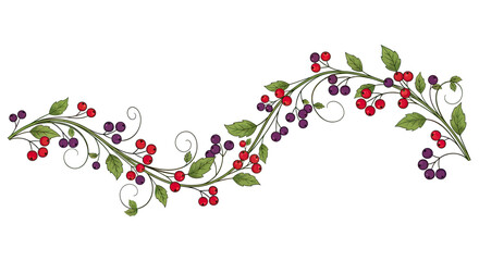 Whimsical berry and leaf vine design curves across a white background © Sendal