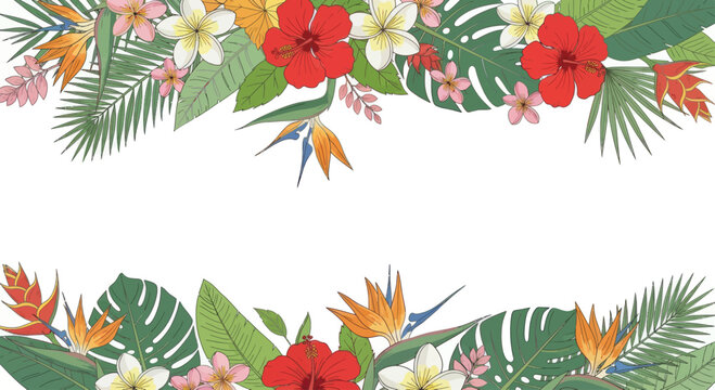 Tropical border with vibrant flowers and lush leaves