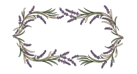 Fototapeta premium Delicate lavender branches form an ornate symmetrical border on a white background