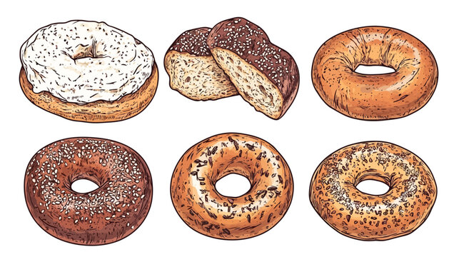 Digitally created illustration showcasing six diverse bagels with varied toppings, offering a mouthwatering selection
