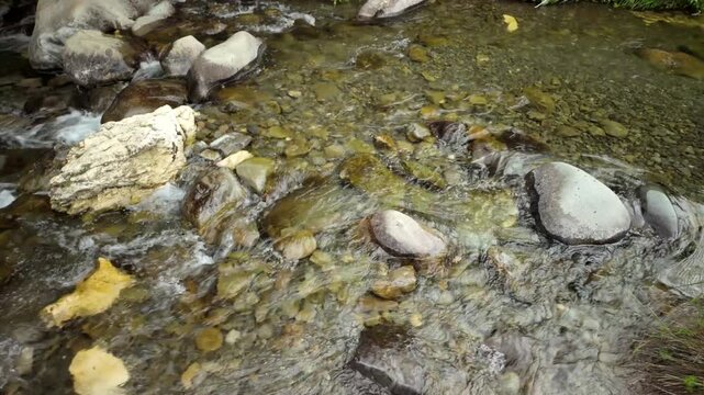 Clear Mountain Stream Over Stones
