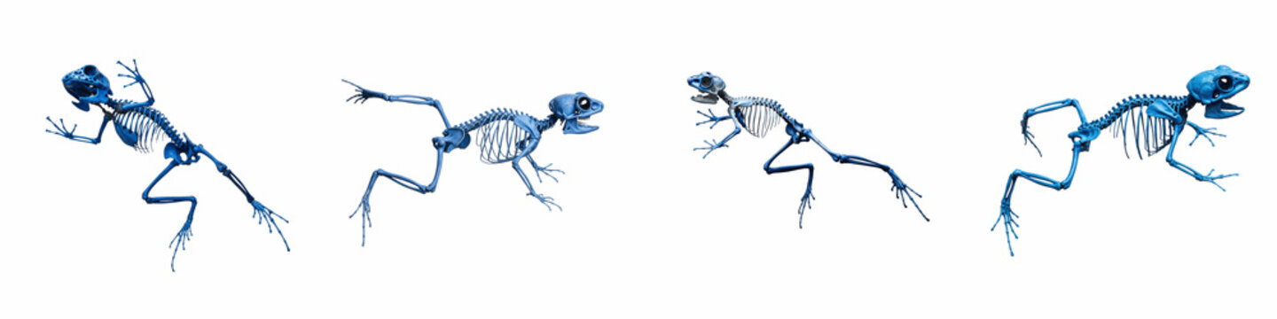 Collection of blue frog skeleton figures in various jumping poses isolated
