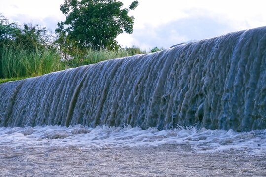 Powerful cascade of muddy turbid water flowing over a concrete check dam framed by tall green grass.