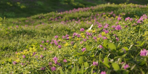 Fototapeta premium Blooming Meadow with Pink and Yellow Wildflowers in Green Grass Landscape. 3D rendering.