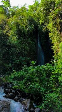 Flowing River Through Lush Tropical Forest with Natural Scenic Landscape