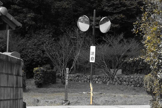 誰もいない世界を映すミラー