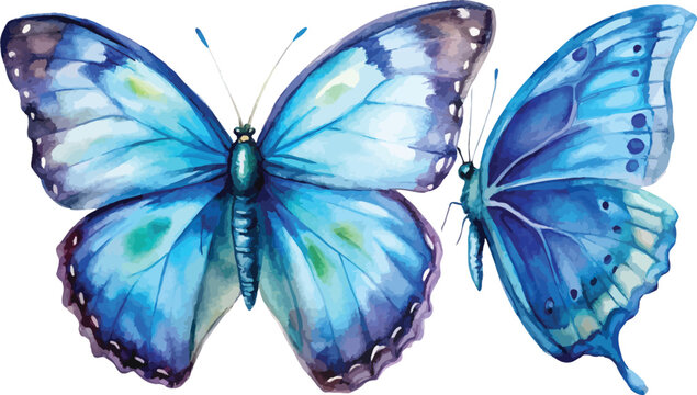 Watercolor Blue Morpho Butterfly Illustration, Tropical Butterfly Clipart, isolated on white background