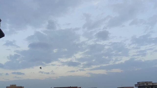 paraglider in the sky