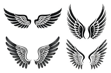 Fototapeta premium Wing Vector Illustrations, Angel Wings, Feathered Wings Vector
