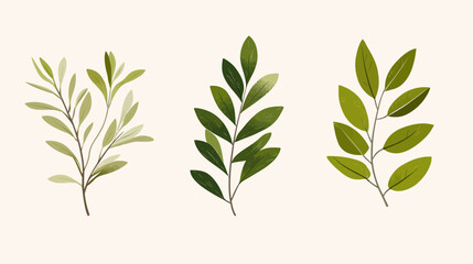 Fototapeta premium Three stylized, watercolor-style sprigs of greenery in varying shades of green on a neutral background
