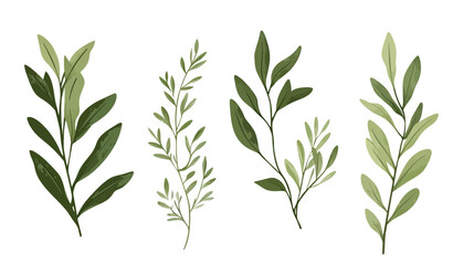 Fototapeta premium Four watercolor-style leafy branches with varying green shades on a white background