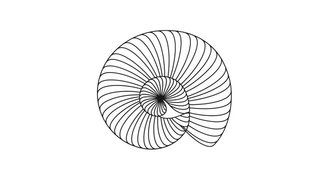Black and white line drawing of a spiraling shell form