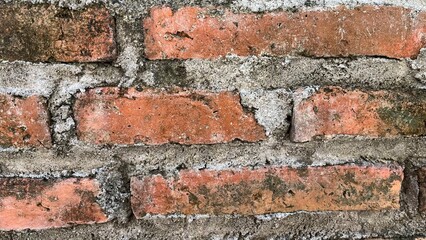 Obraz premium brick wall texture