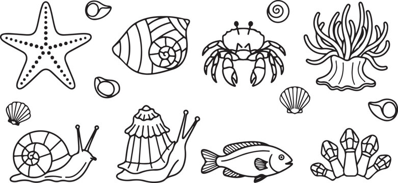 Assorted black and white line drawing icons of transportation and animals Vector