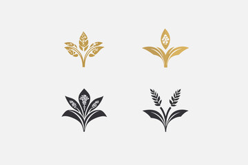 Fototapeta premium Four stylized botanical illustrations with elegant, organic forms. Gold and black on a white background