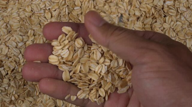 Top-down view of human hand grabbing raw rolled oats from a scattered surface