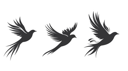 Fototapeta premium Three stylized silhouettes of birds in flight, against a white background, in various poses