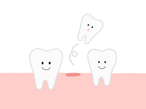 子供の歯の生え変わり 乳歯が抜けた状態のイラスト