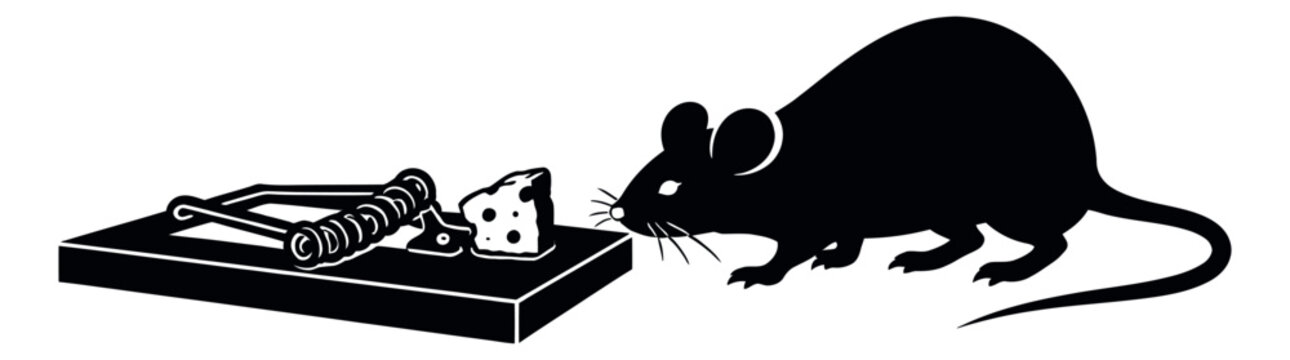 Graphic illustration of a mouse approaching a mousetrap with cheese depicting danger for pest control