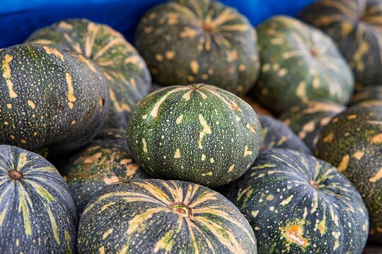Kabocha is a type of winter squash, a Japanese variety of the species Cucurbita maxima.