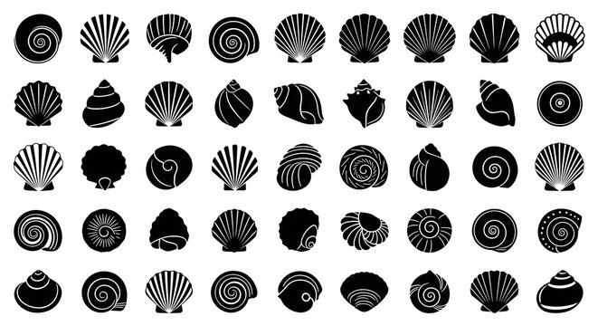 A collection of various seashell silhouettes arranged in a grid pattern on a white background.