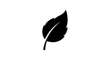 Fototapeta premium A minimalist black silhouette of a single serrated leaf isolated on a solid white background