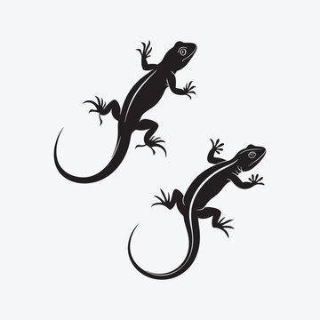 Two black silhouettes of lizards with curved tails are displayed