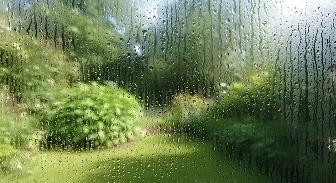 A view of the forest through a rainy window creating a moody and tranquil atmosphere in nature illustration