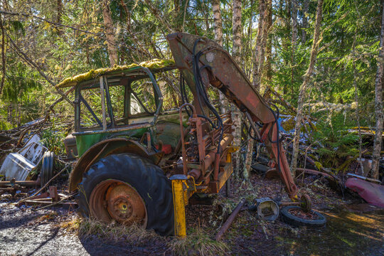 Old excavator abandoned in forest with rust and decay