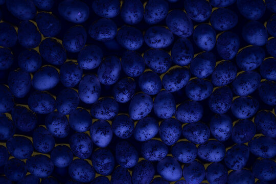 Dark blue eggs stones in shadow of light