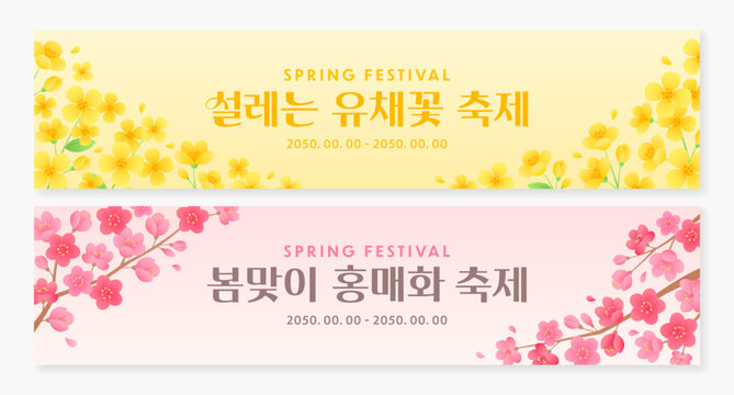 Set of two spring festival horizontal banners featuring yellow canola flowers and pink plum blossoms. (Translation: canola flower festival, plum blossoms festival)