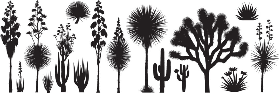 silhouette desert plants, including a joshua tree,  agave, ocotillo, saguaro cactus, and yucca, isolated on white background vector