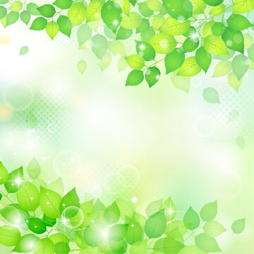グラデーションが美しい風に舞うフレッシュな新緑フレーム　背景