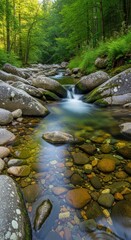 Obraz premium Serene Mountain Stream Flowing Through Lush Green Forest with Smooth Rocks and Clear Water.