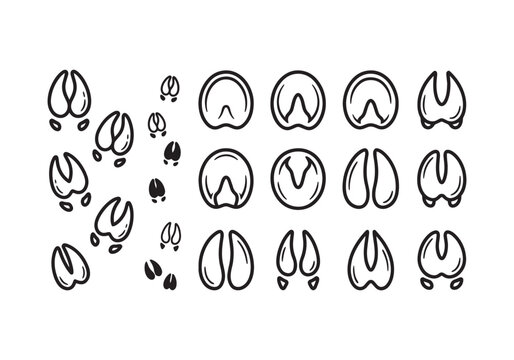 Collection of diverse hoof print illustrations, showcasing various animal tracks and hoof shapes in a clean, graphic,